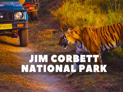 Jim Corbett National Park